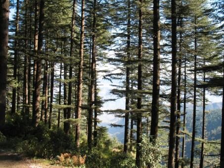 6 Day Trip to Mussoorie from Pune