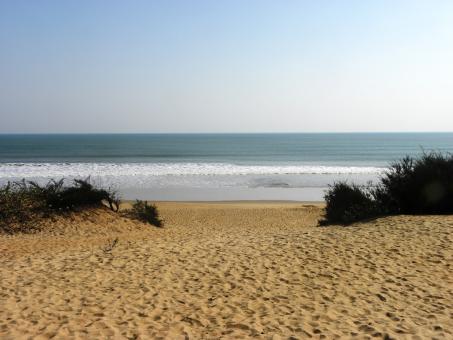 3 days Itinerary to Puri from Bilaspur