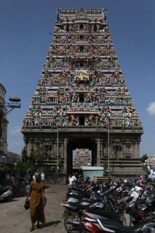 16 Day Trip to Munnar, Chennai, Kannur, Thiruvananthapuram, Muvattupuzha from New York City