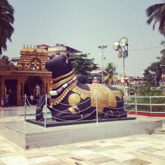 6 Day Trip to Mangalore, Kannur from Vijayapura