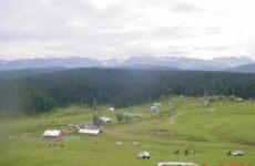 6 Day Trip to Srinagar from Pune