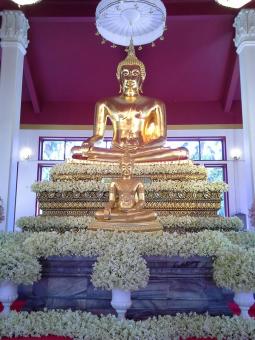 4 Day Trip to Pattaya from Slipi