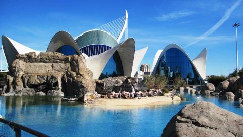 6 Day Trip to Valencia from Puertollano