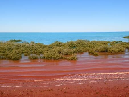 9 Day Trip to Broome from Melbourne