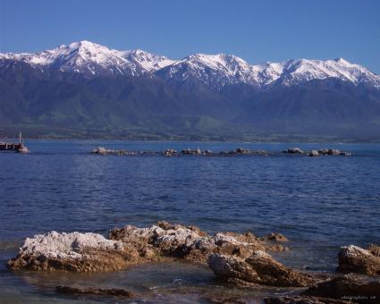 Not Just Any Other Weekend At Kaikoura