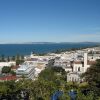5 Day Trip to Napier from Hillaby