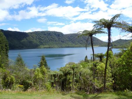 7 days Trip to Rotorua 