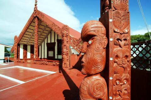 2 Day Trip to Rotorua from Napier