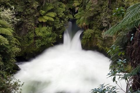 4 Day Trip to Rotorua from Auckland