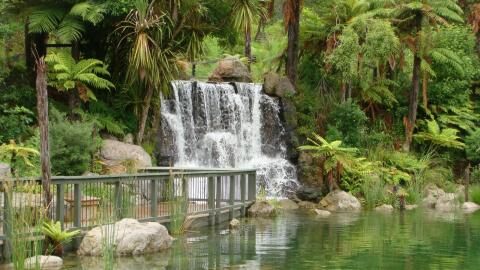 3 Day Trip to Rotorua from Springfield gardens