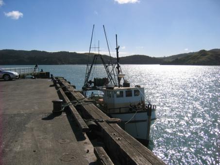 4 Day Trip to Raglan from George town