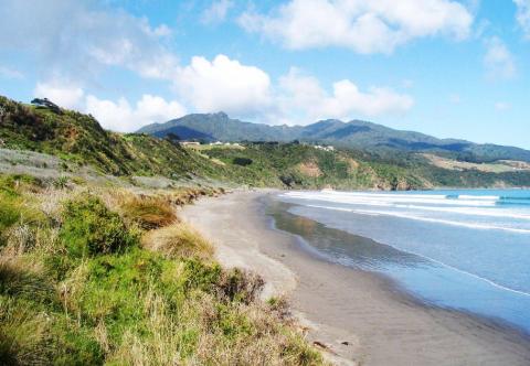 5 Day Trip to Raglan from Beacon