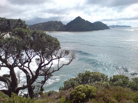 13 Day Trip to Queenstown, Rotorua, Auckland, Wellington, Wanaka from Sunshine Coast