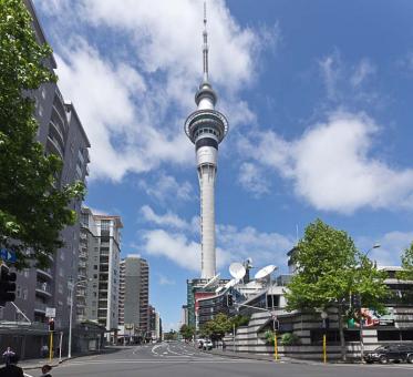 11 Day Trip to Auckland, Wellington