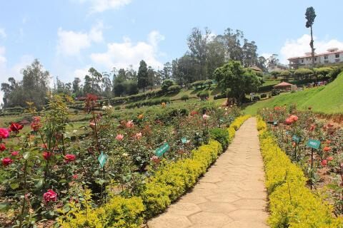 8 Day Trip to Mysore, Ooty, Wayanad