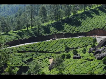  Day Trip to Ooty from Ernakulam