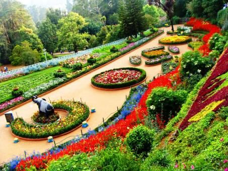 3 days Trip to Ooty from Chennai