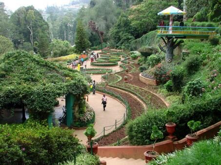 5 days Trip to Ooty from Chennai