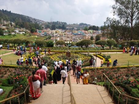  Day Trip to Ooty from Kochi