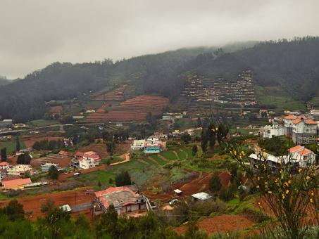  Day Trip to Ooty from Kumbalam
