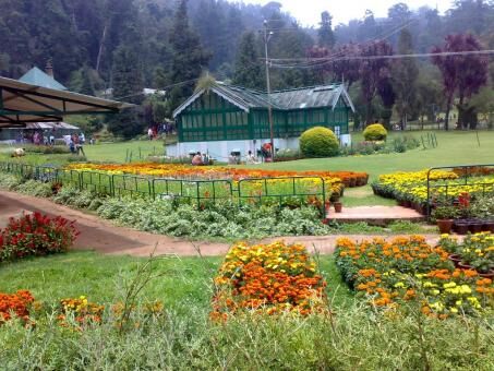 4 Day Trip to Ooty from Bihar
