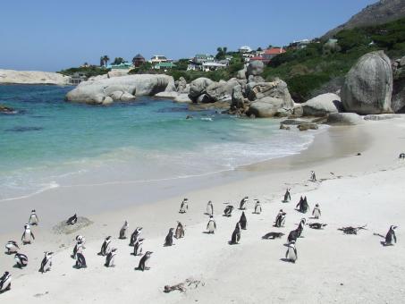 5 Day Trip to Cape Town from Gillsville