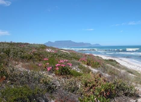 8 Day Trip to Cape Town from North East