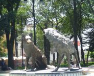 5 days Trip to Mexico City, Pachuca from Royse City