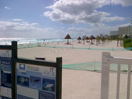 7 Day Trip to Cancun from Mount Pleasant