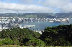 23 Day Trip to Wellington from Bangalore