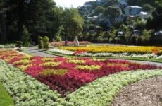 3 days Itinerary to Wellington from Sydney