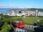 9 Day Trip to Auckland, Wellington from Ludhiana