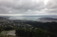 11 Day Trip to Wellington