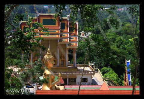 6 days Trip to Ko pha ngan, Pattaya, Phuket from Ahmedabad