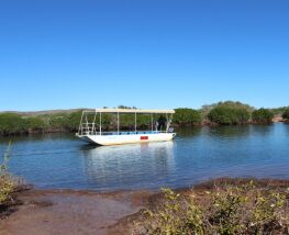 6 Day Trip to Exmouth, Karijini from Perth