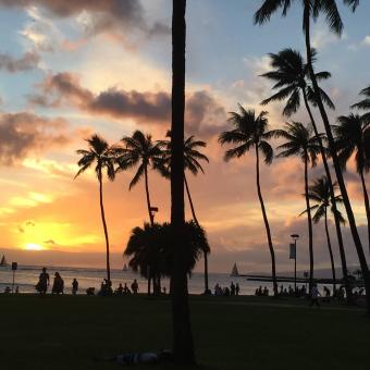 8 Day Trip to Honolulu