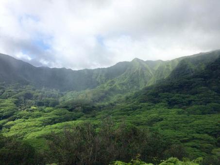 Trip to Honolulu, Kailua-kona, Wailea-makena, Maui, Kalaupapa