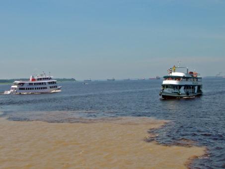 5 Day Trip to Manaus from Bolligen
