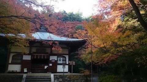 54 Day Trip to Tokyo, Kyoto, Osaka-shi, Matsumoto, Kochi prefecture, Tanabe, Numata from Hurstbridge