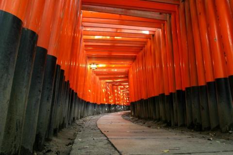 18 Day Trip to Kyoto, Osaka-shi, Takachiho from Houston