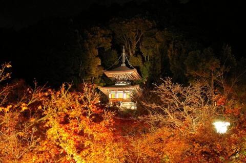 5 Day Trip to Kyoto from Phitsanulok