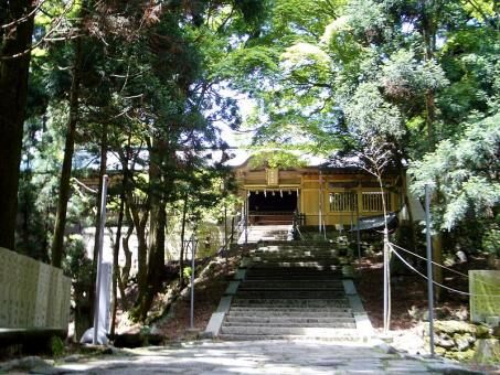 5 days Trip to Kyoto, Osaka-shi, Nara from Shah Alam