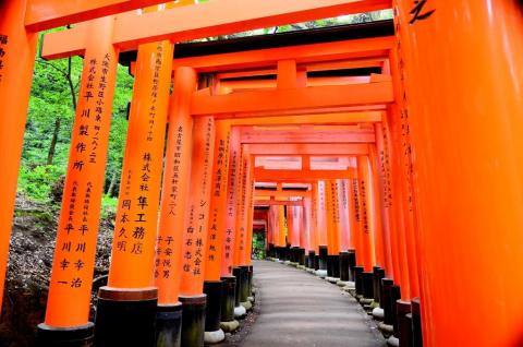5 Day Trip to Kyoto from San Anselmo