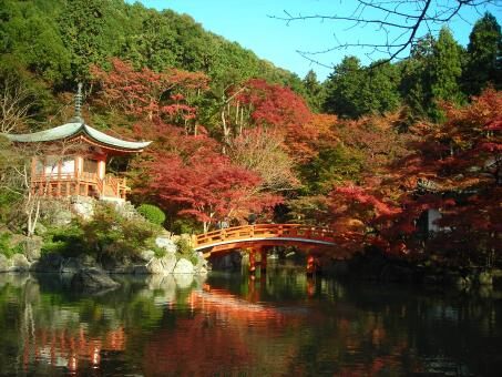 10 Day Trip to Tokyo, Kyoto from Ludhiana
