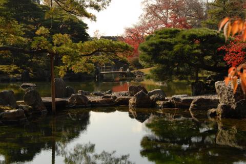 6 Day Trip to Kyoto from Overland Park
