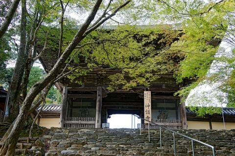 4 days Trip to Kyoto from Farmington