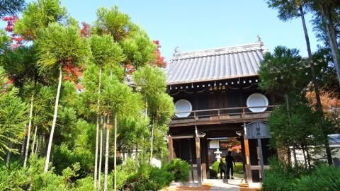13 Day Trip to Kyoto, Toyama from Denver
