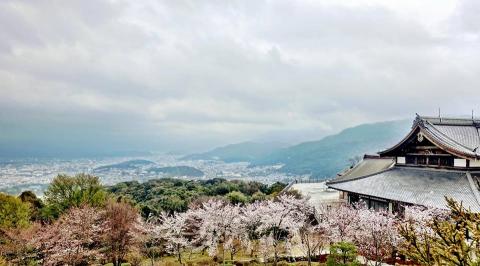9 Day Trip to Kyoto from Sydney