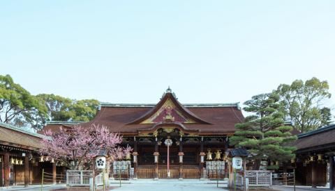 7 days Trip to Kyoto, Osaka-shi, Nara, Himeji from Singapore