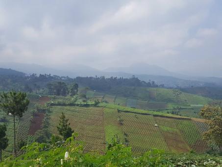 10 Day Trip to Bandung from Jakarta
